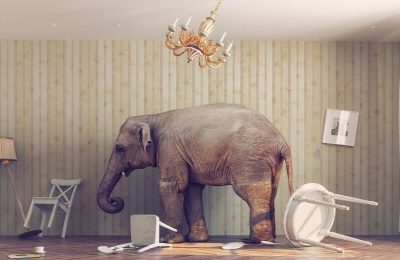 Addressing the Elephant in the Room